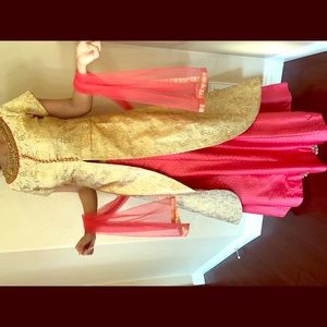 Bollywood Indian Laacha Dress